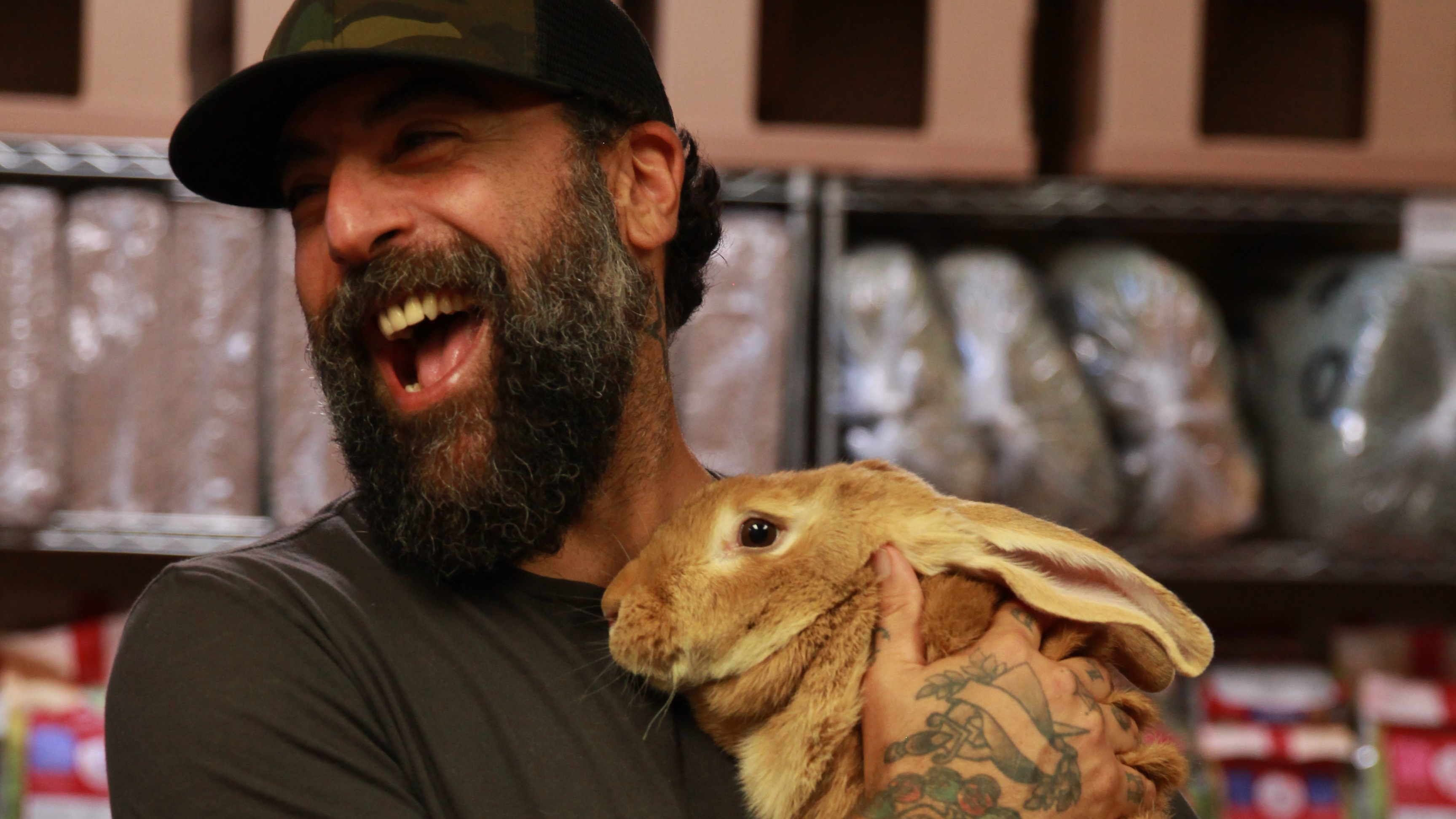 Bunny Beach Bungalow