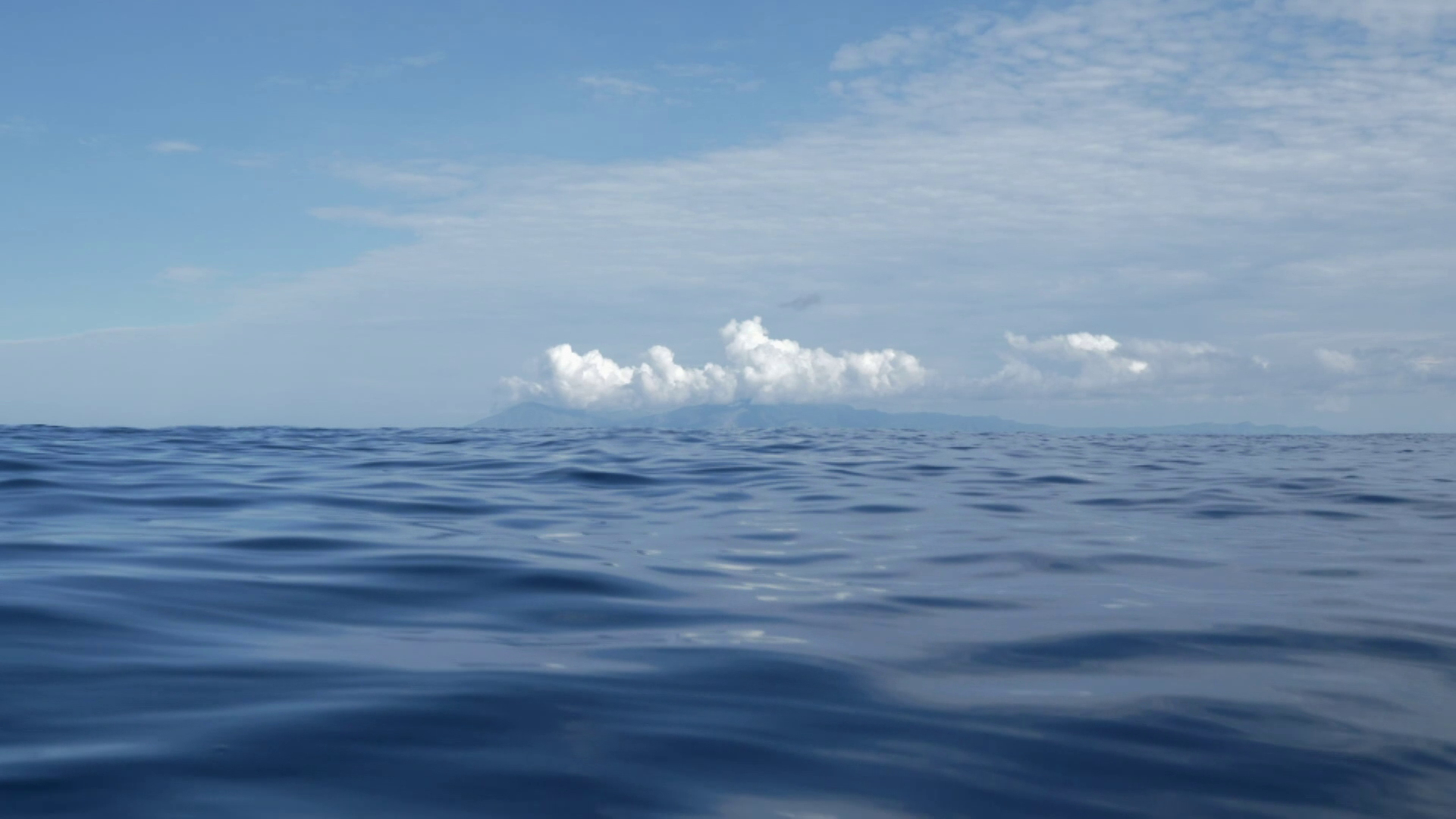 Backwards Birds And Slimy Sea Creatures