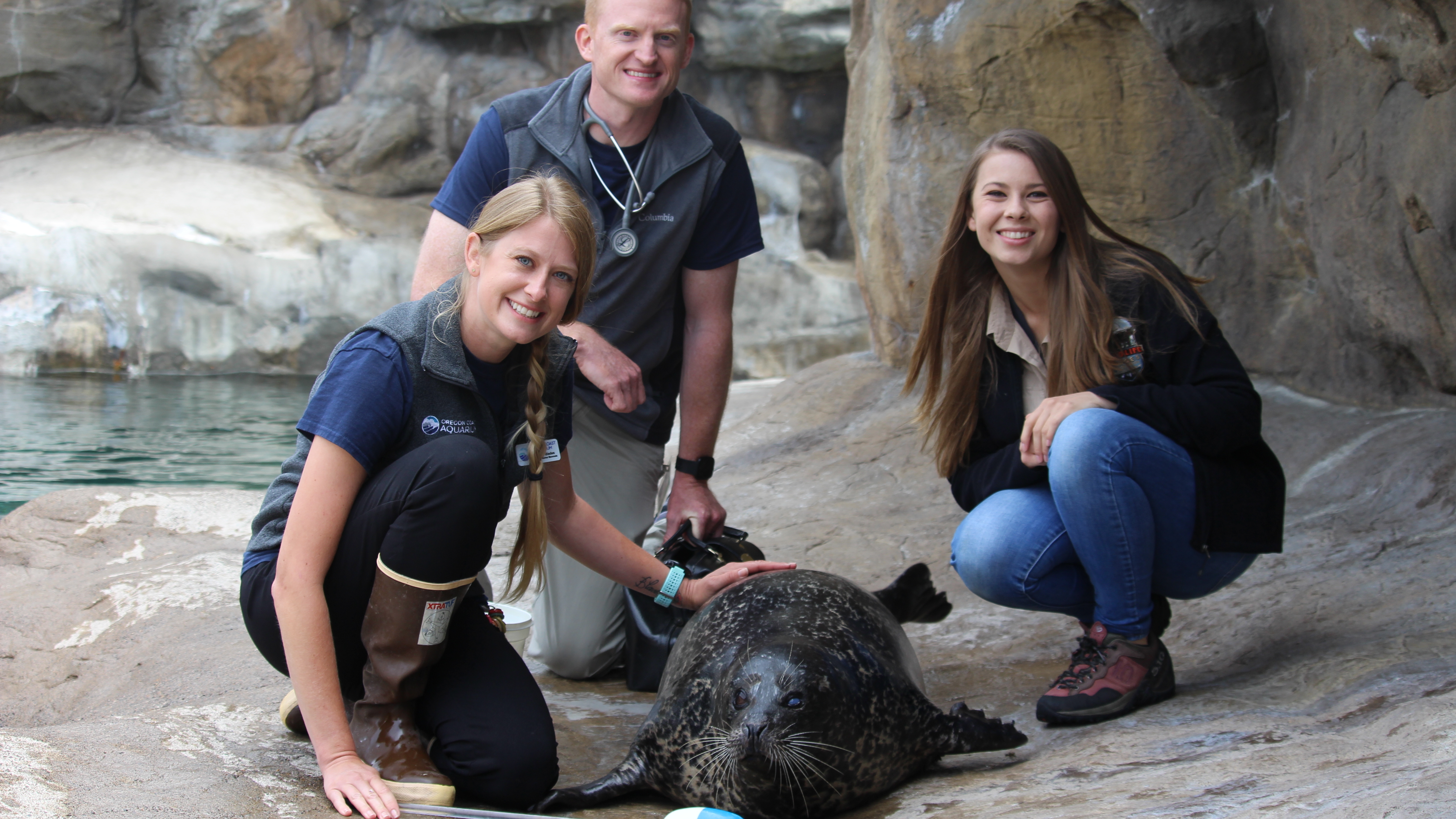 Robert Trains A Dragon