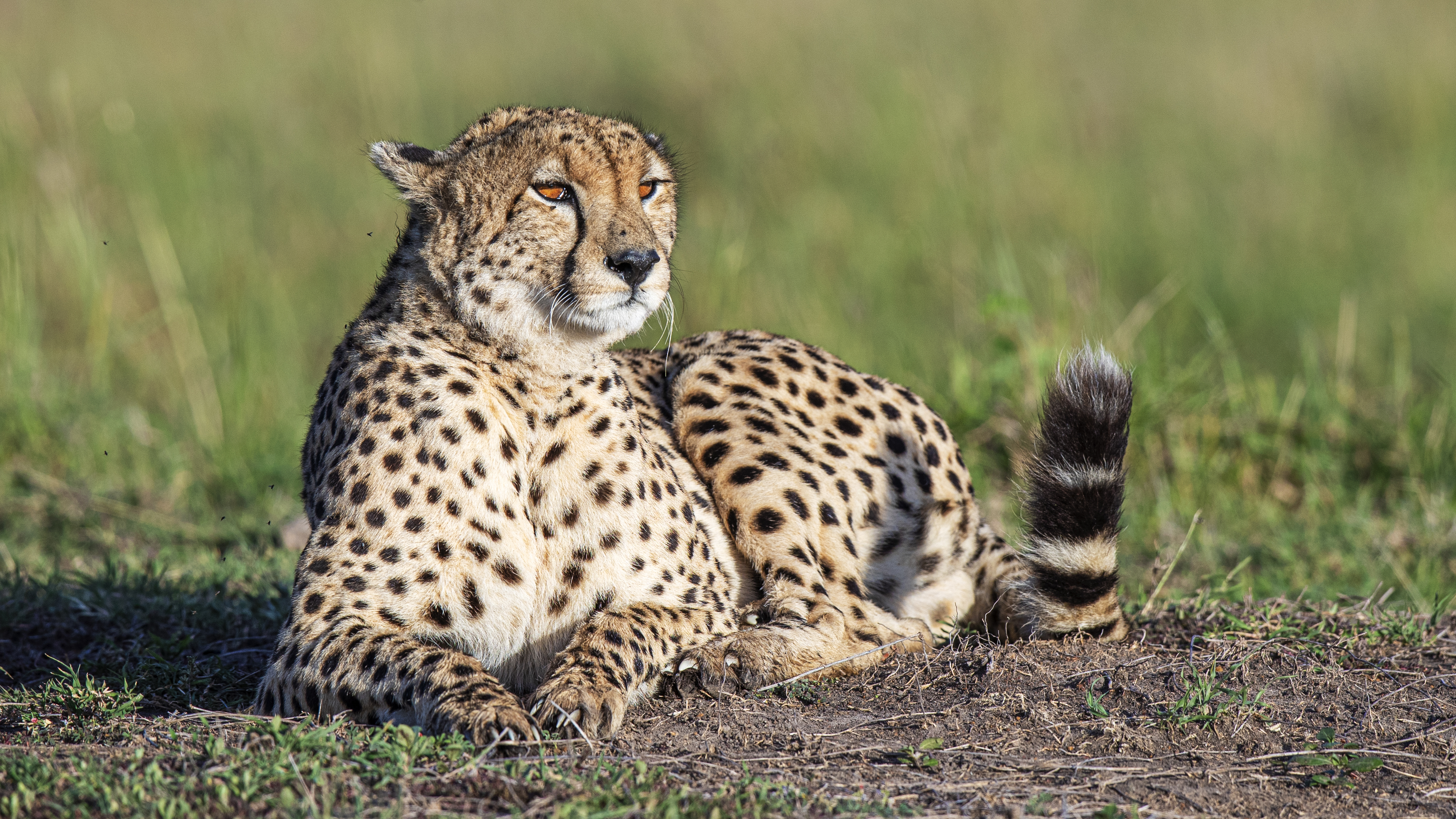 Peril On The Horizon