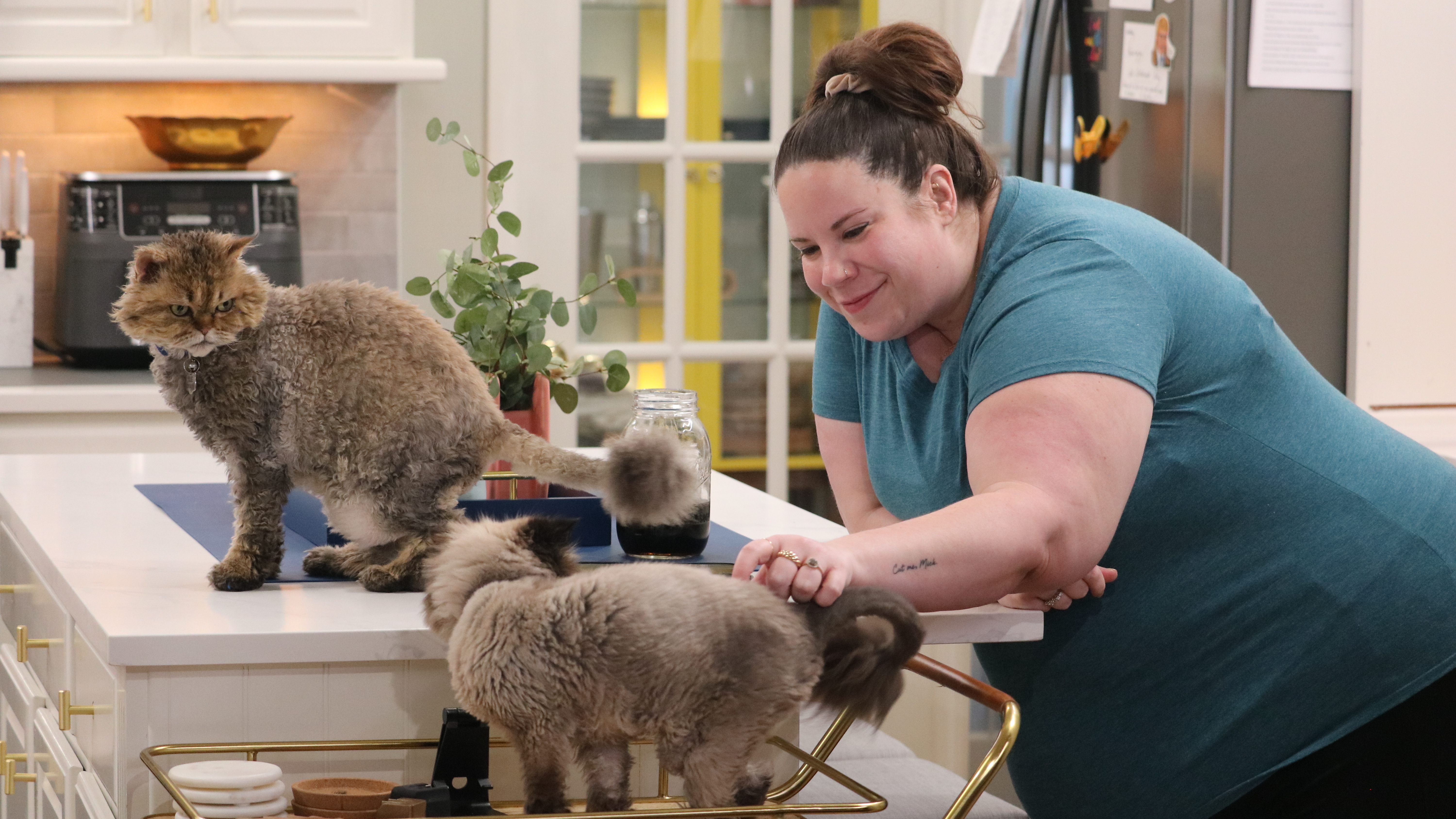 Decisions In The Bedroom