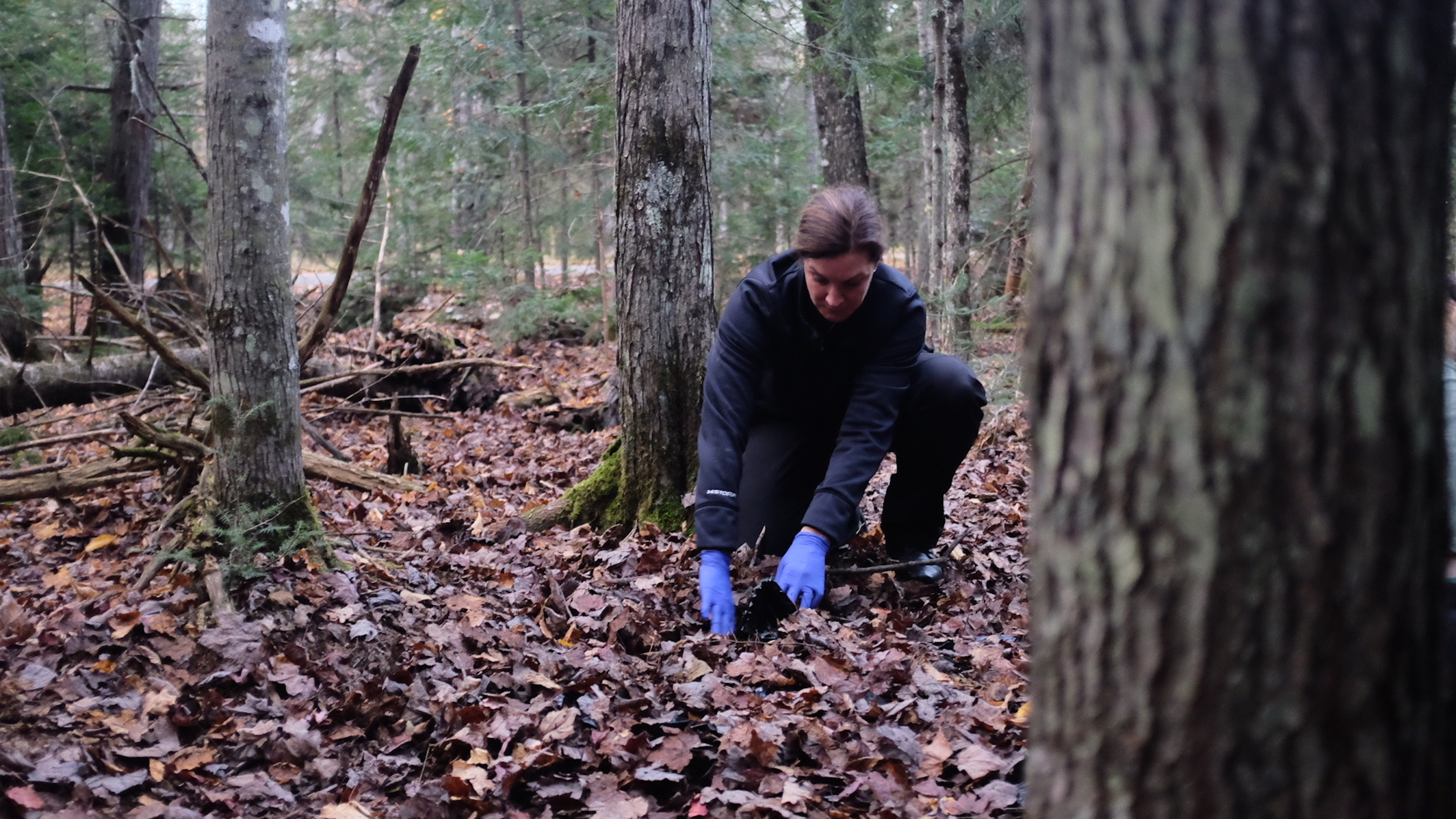 Winter Is Coming – Part 1