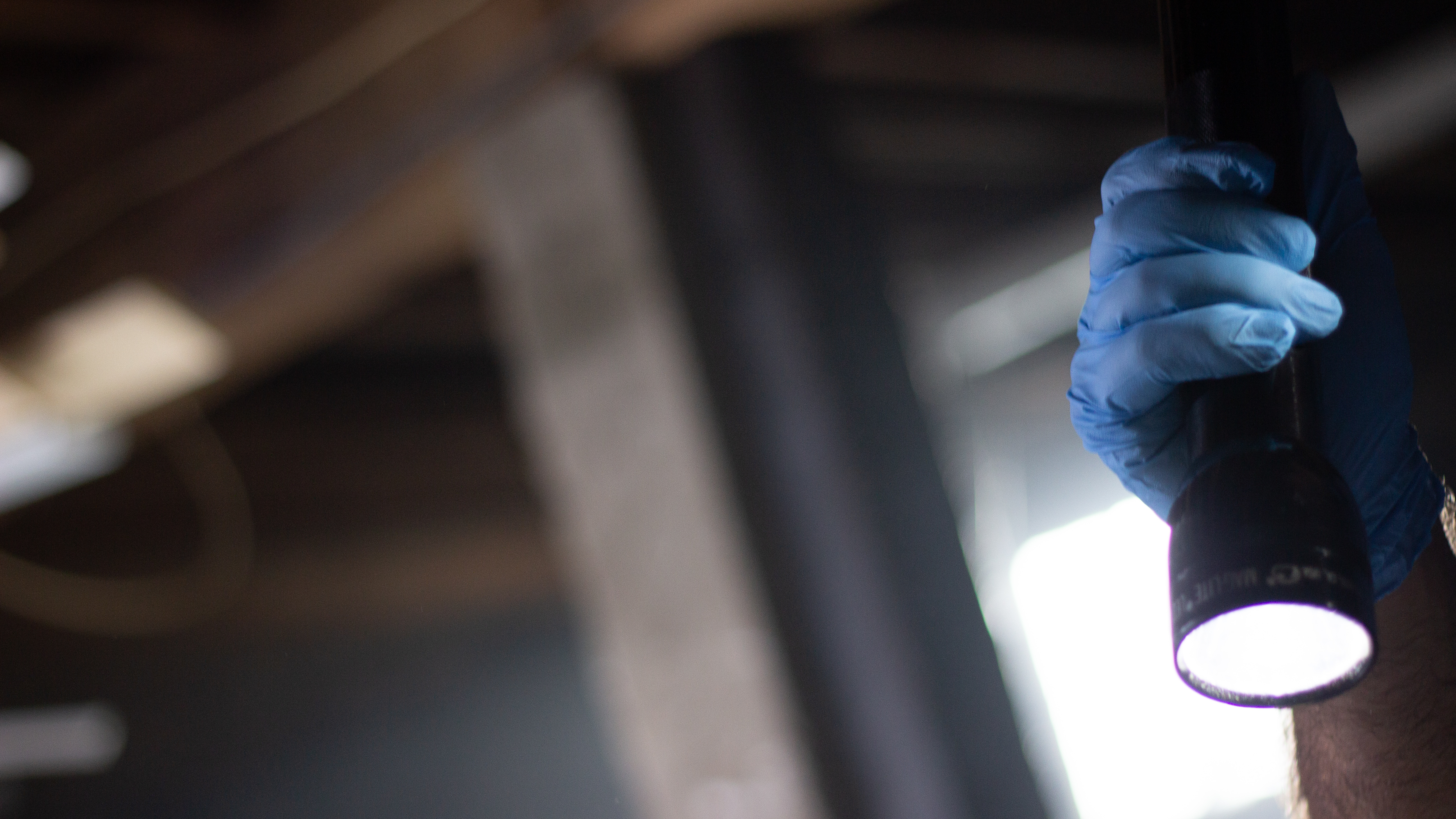 The Lost Boys Of Bucks County