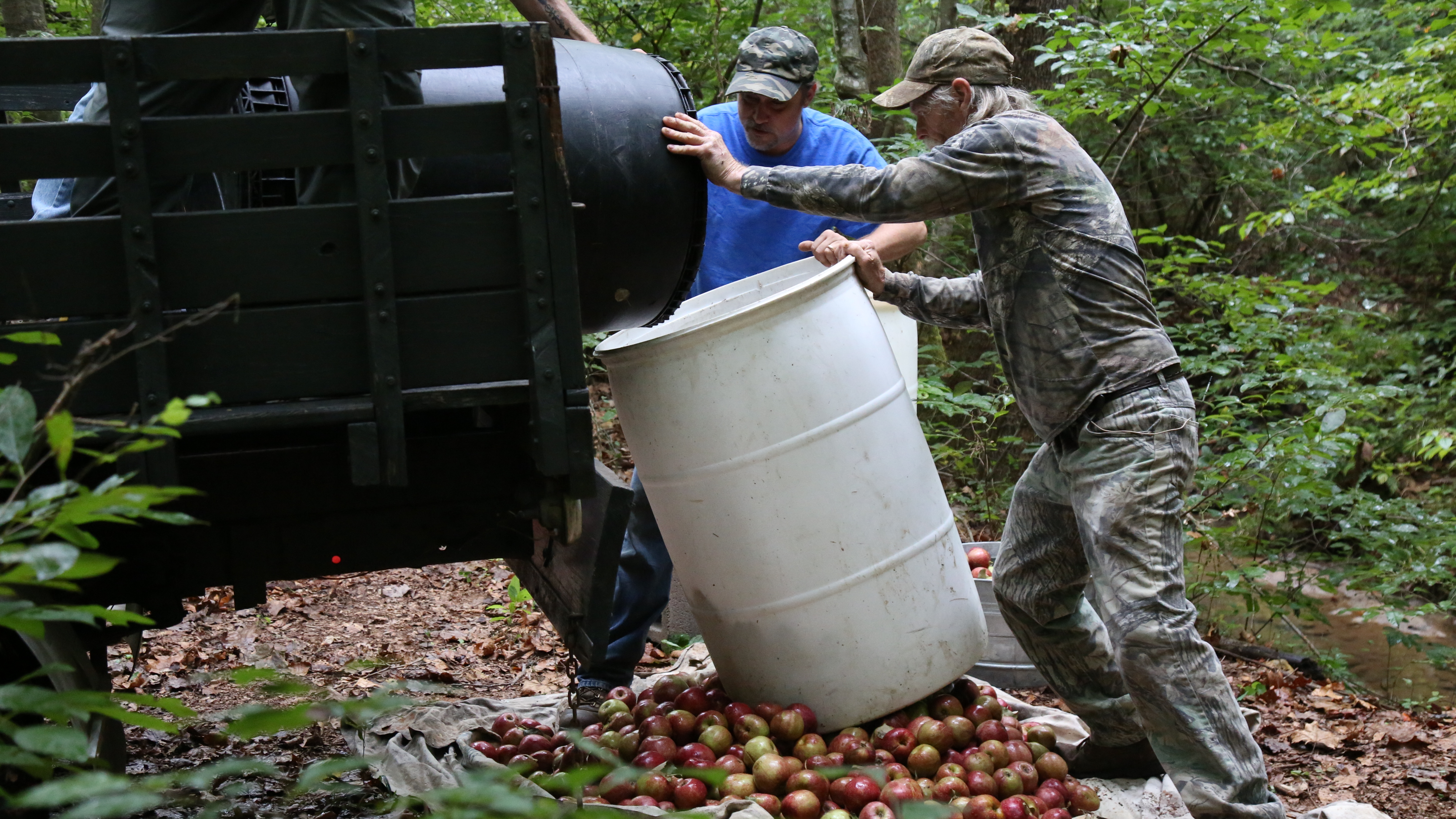 Too Much Of A Good Thing