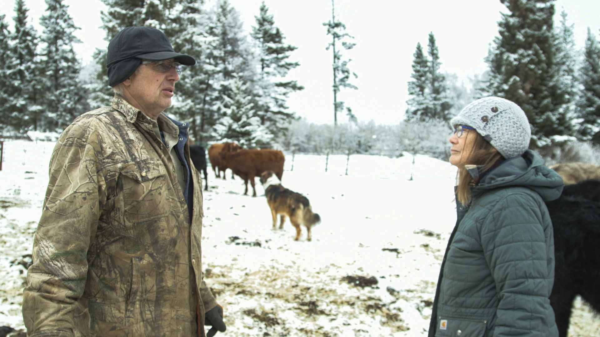 Alaska: The Last Frontier