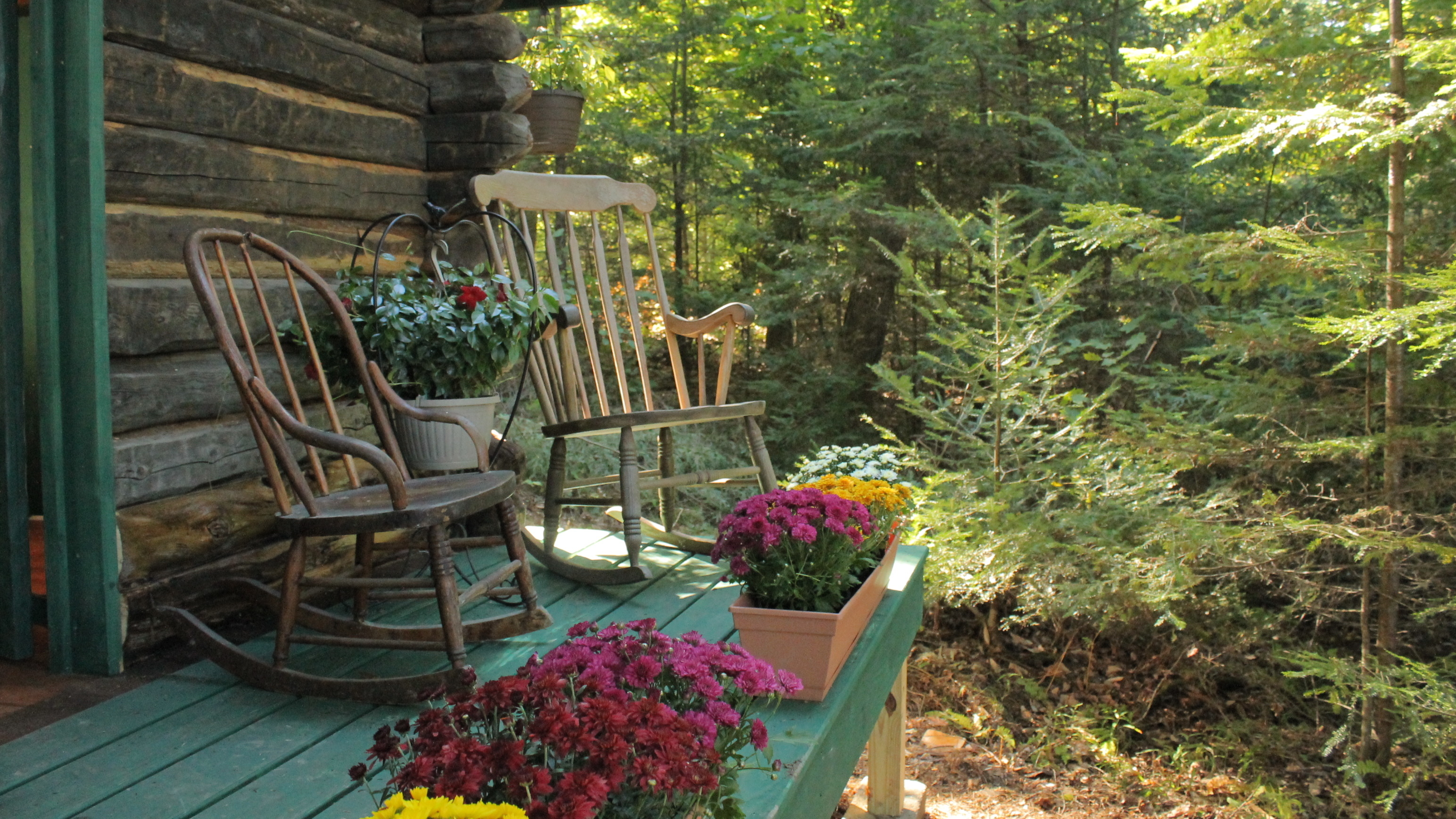 A Cabin For The Bride