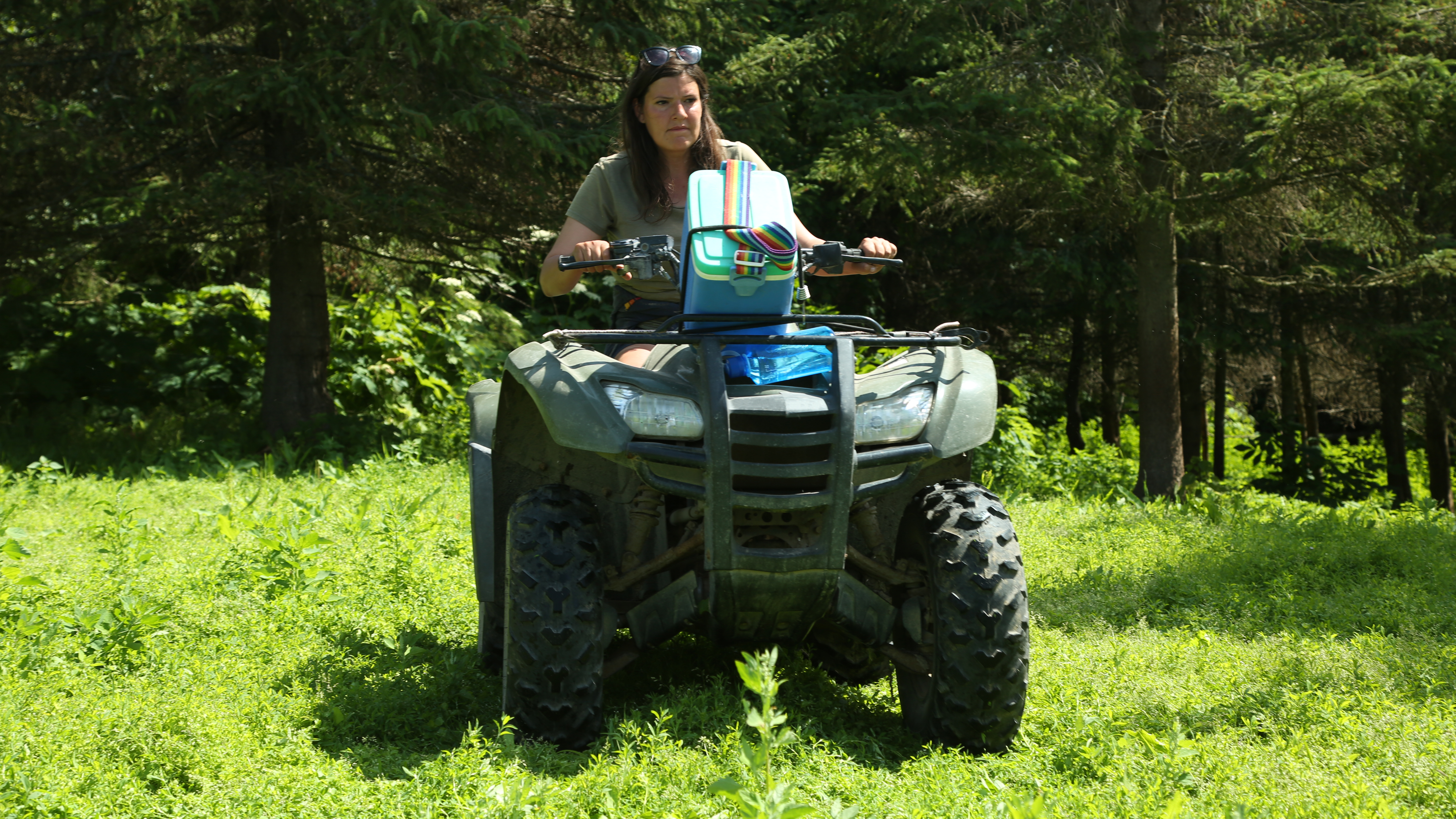 Alaska: The Last Frontier