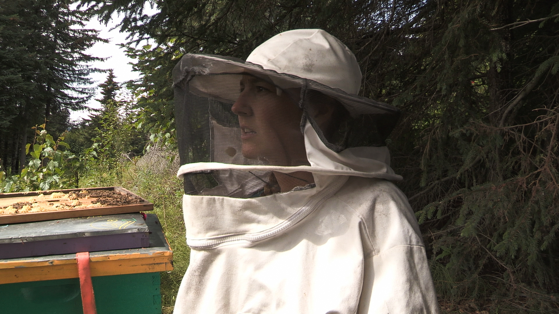 Alaska: The Last Frontier