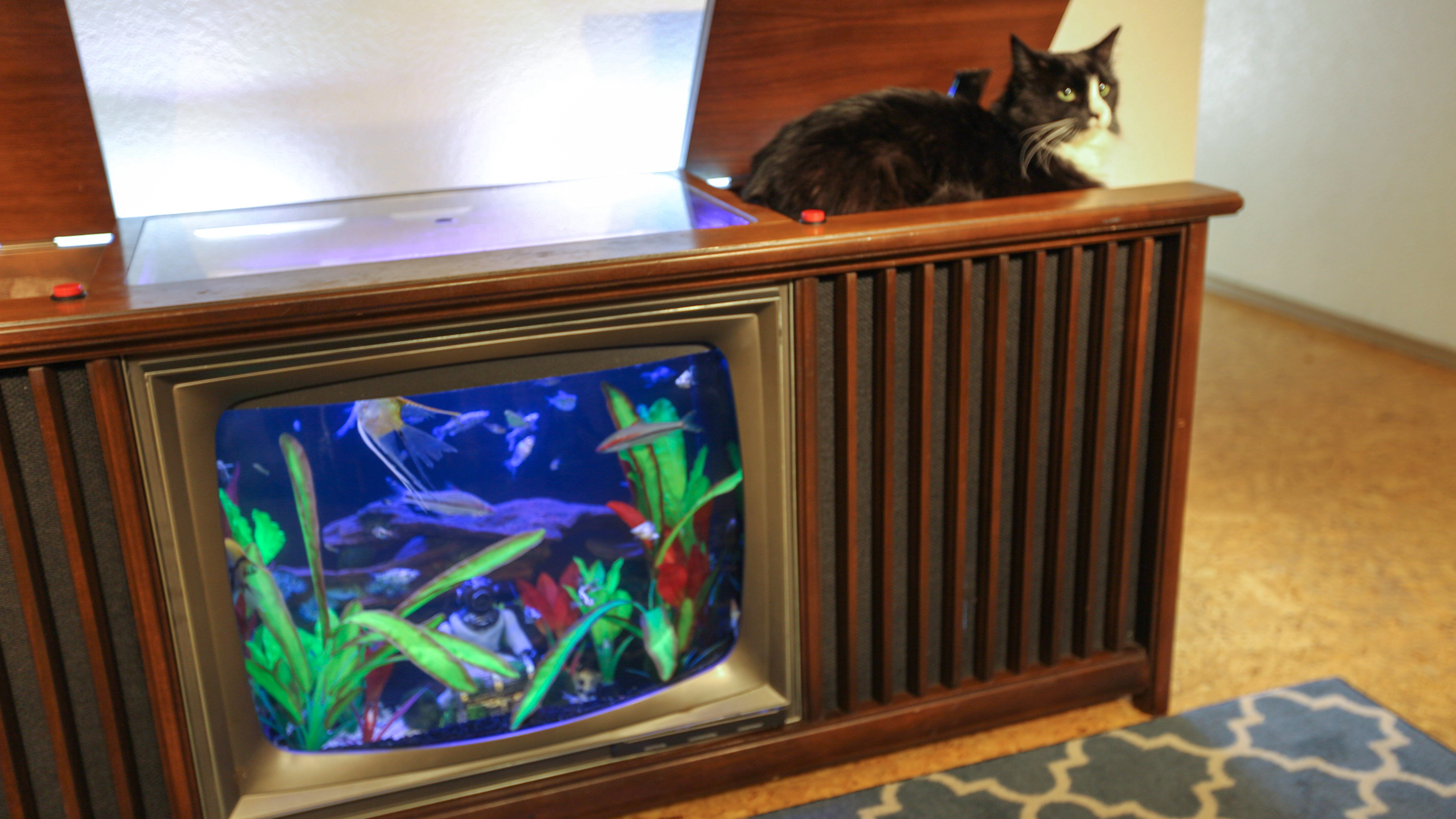 Tanked