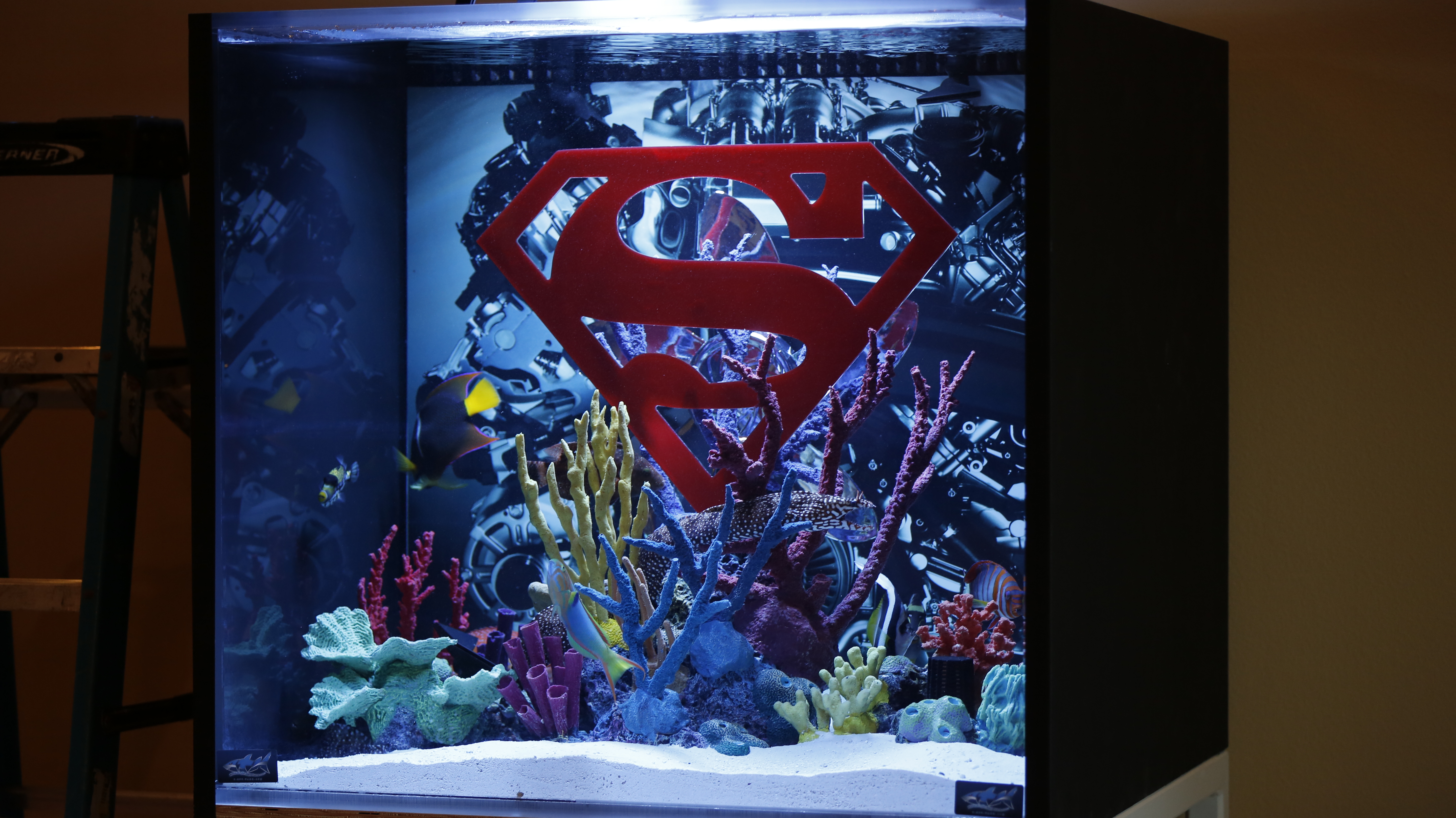 Tanked