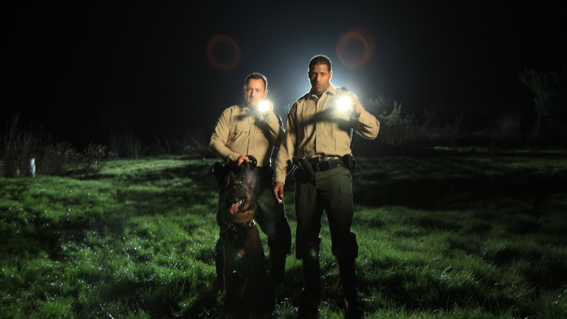 Got to Silence a Witness