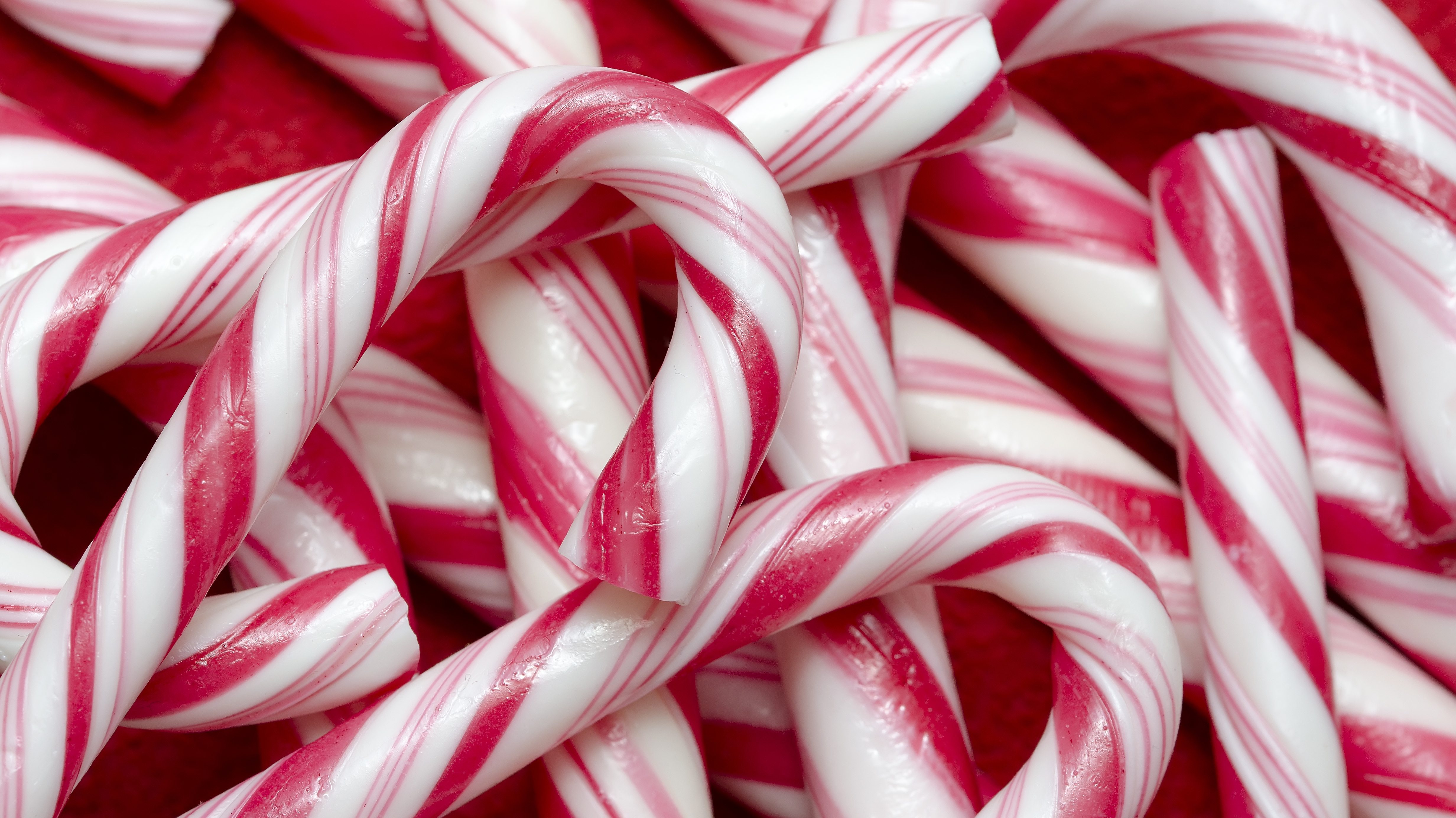 Bumpers/Lighting Gels/Camera Filters