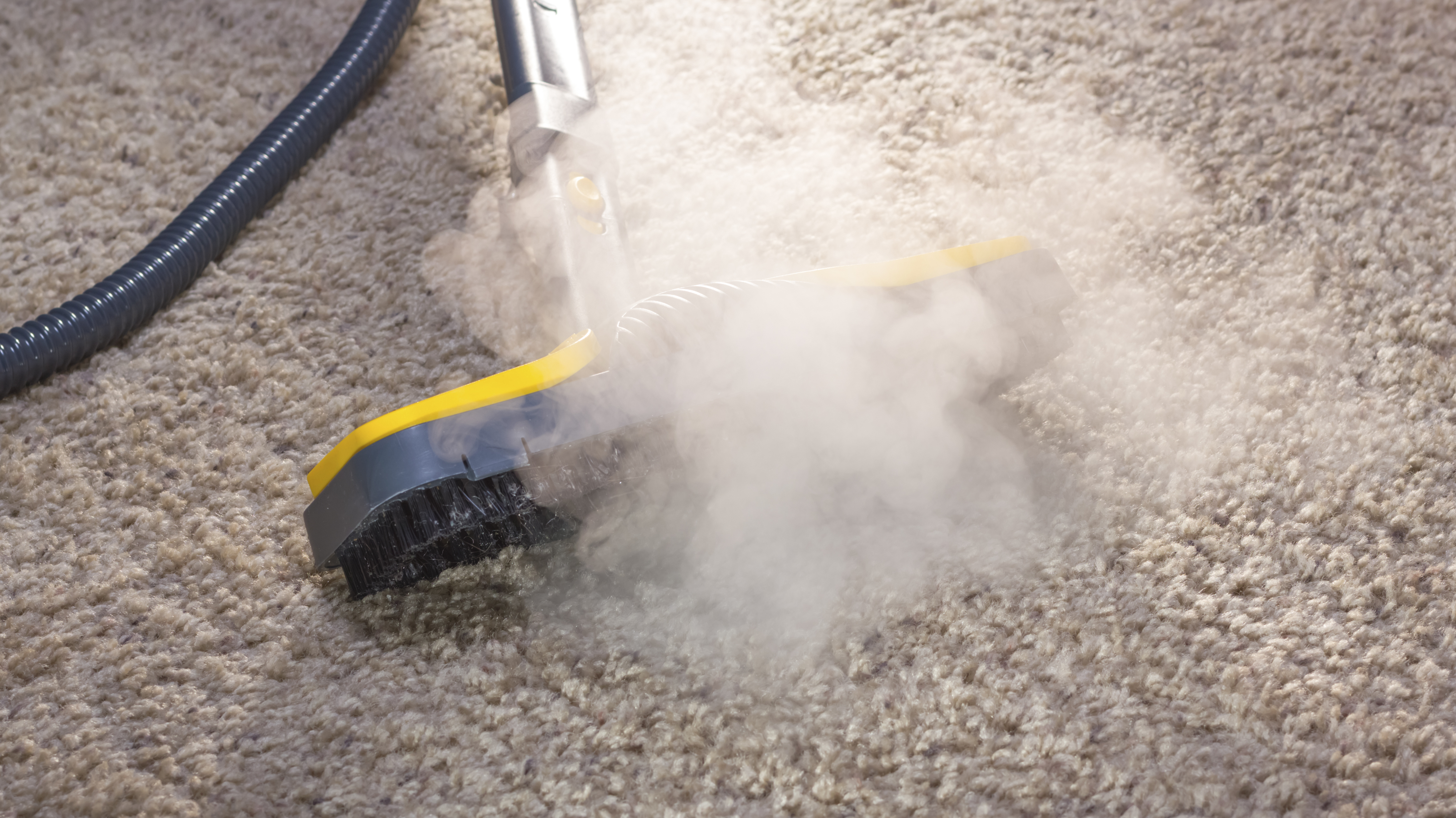 Steam Cleaners