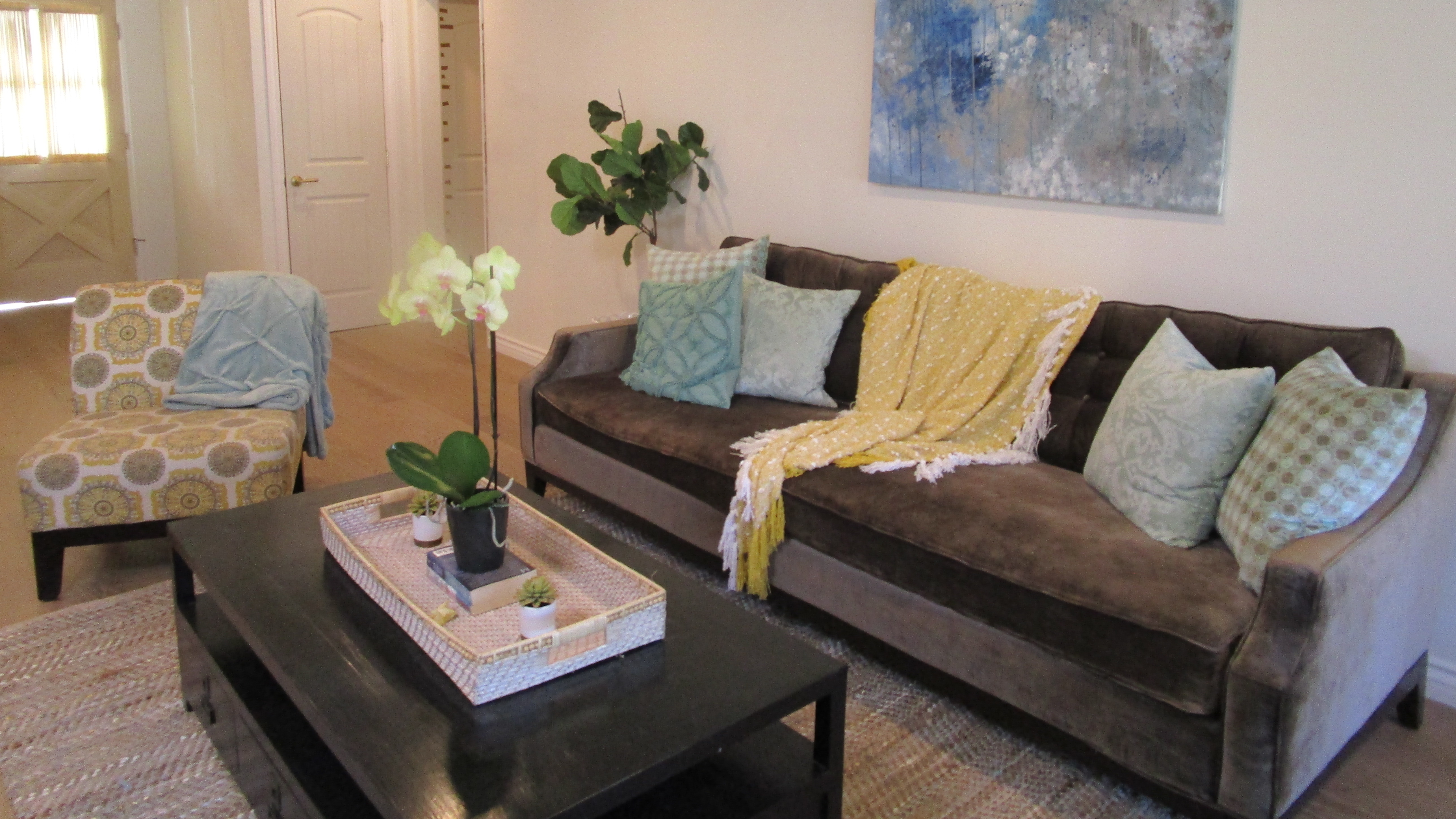 House Hunters Renovation