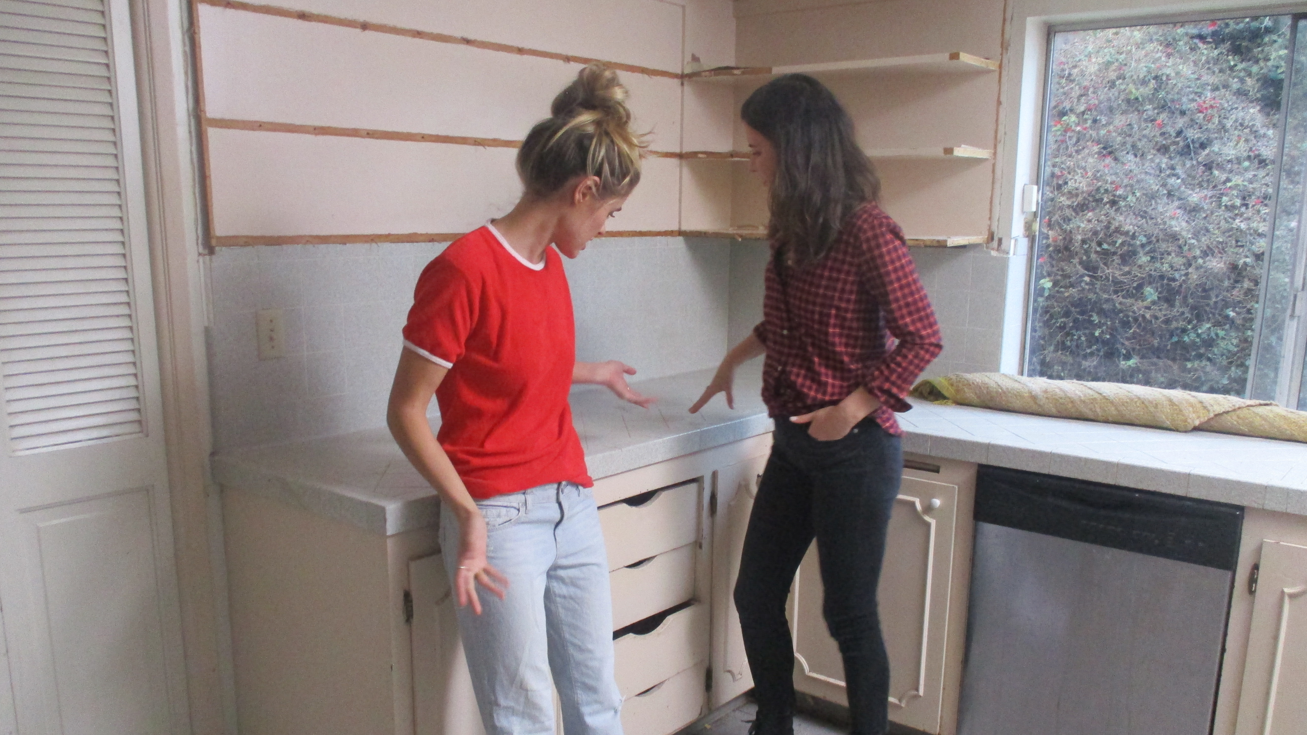 House Hunters Renovation