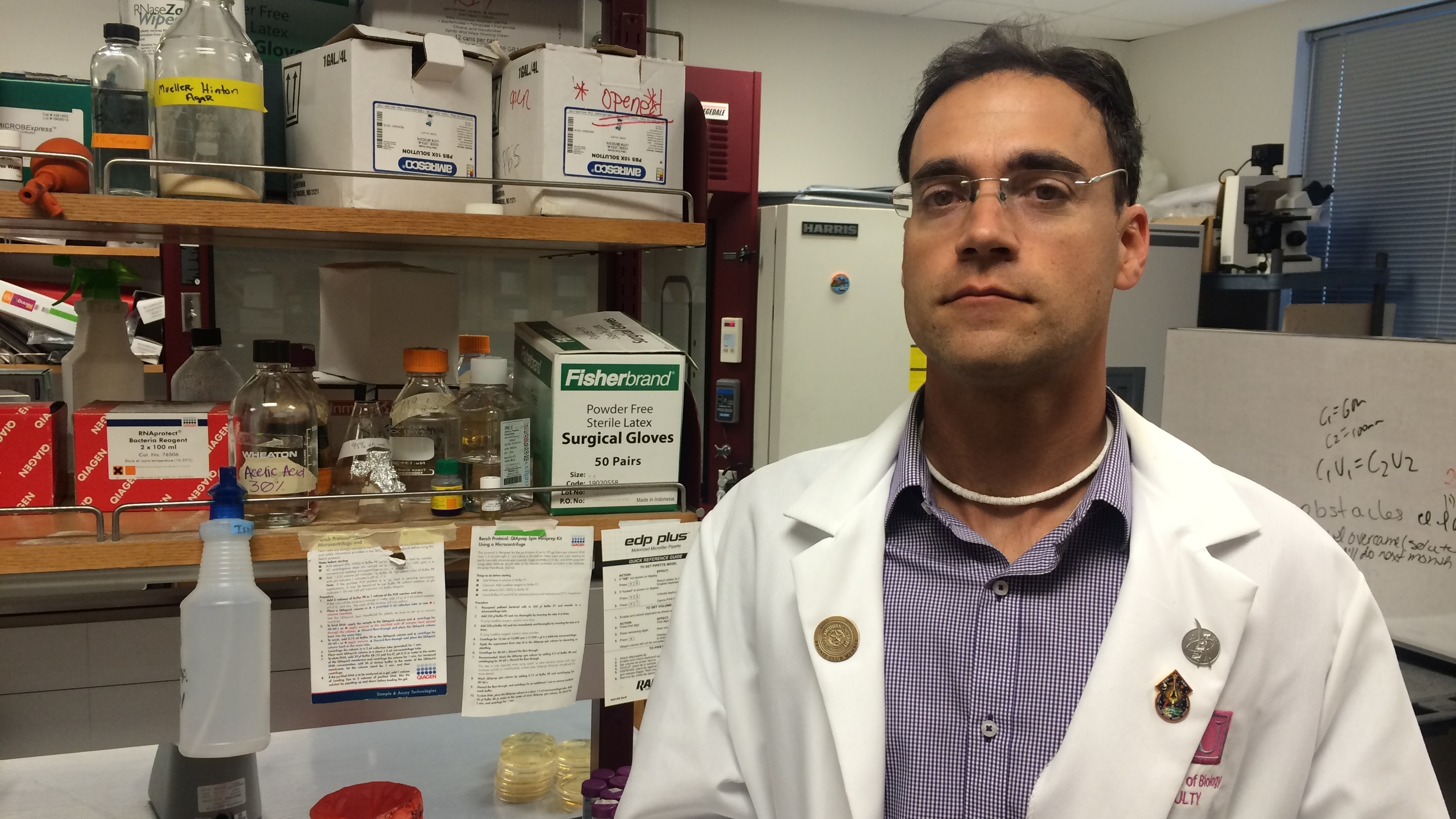 Rise of the Ice Creatures