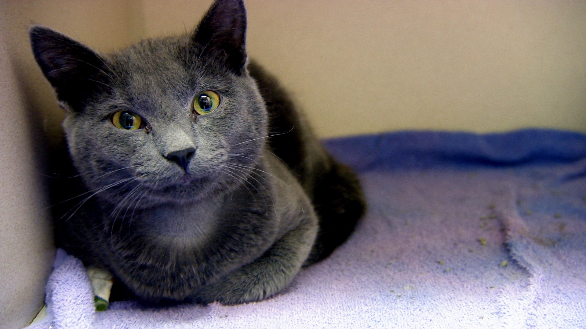 Temperature’s Rising