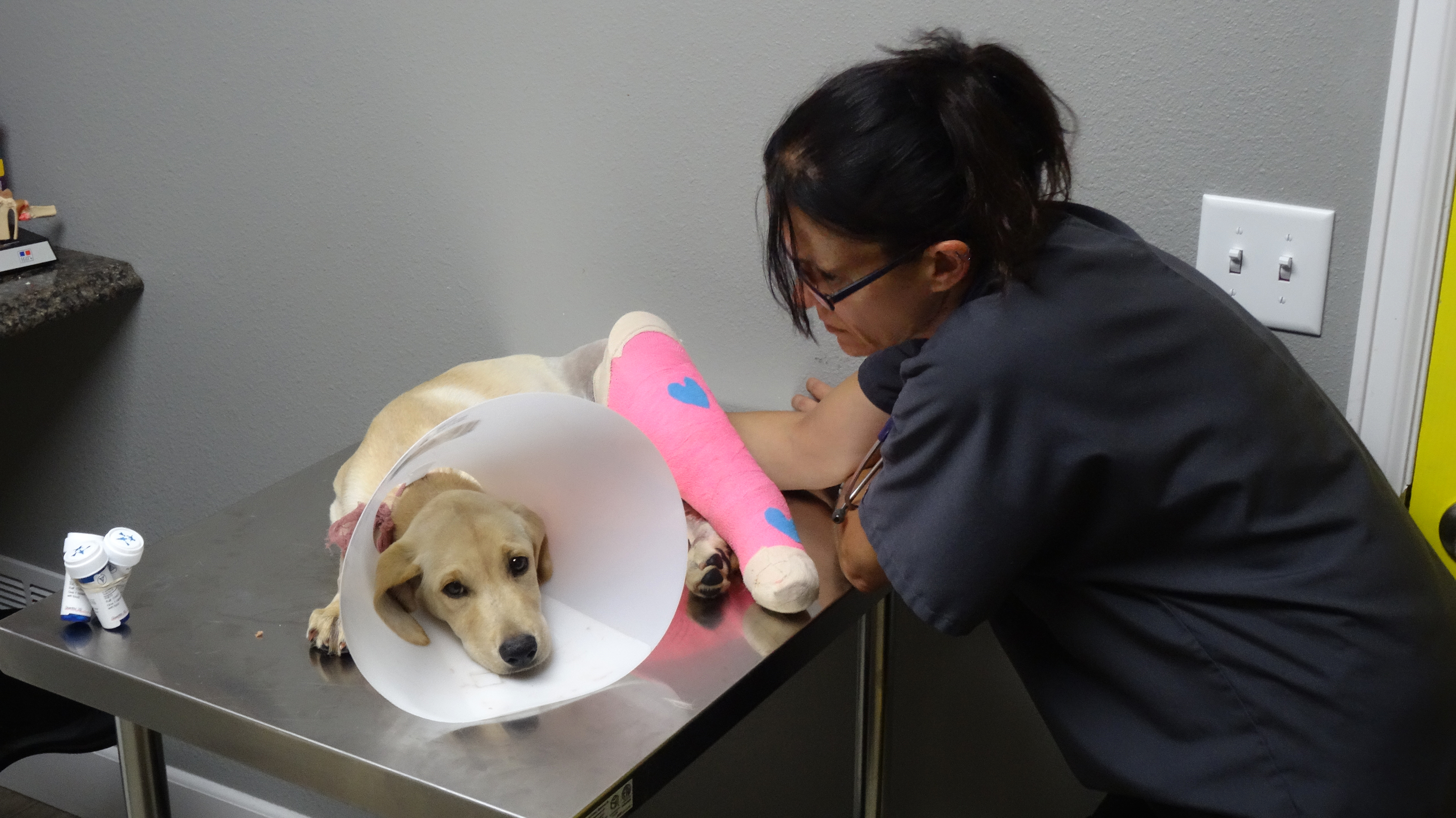 A Long Way From Home