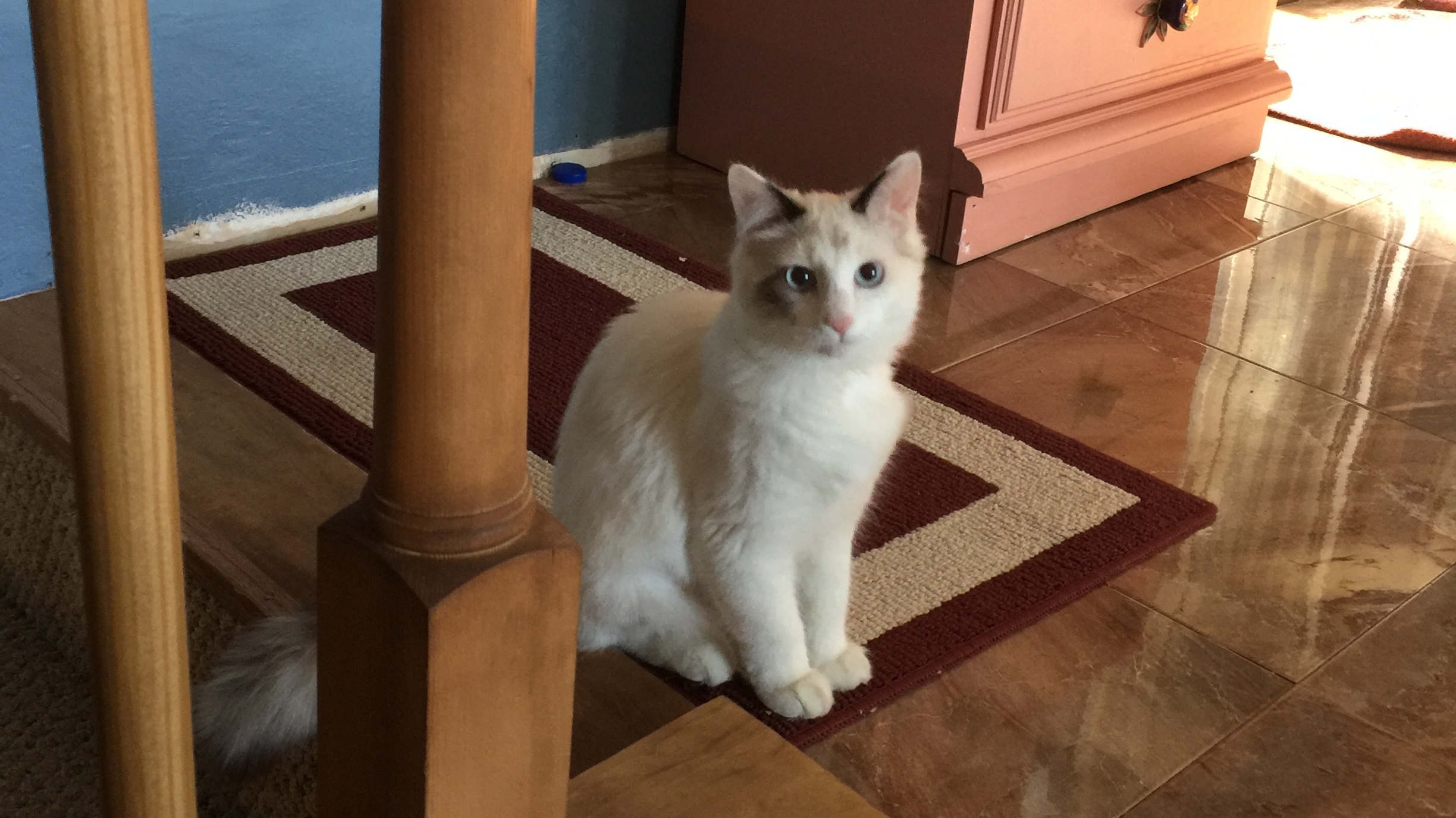 Picking up the Pieces