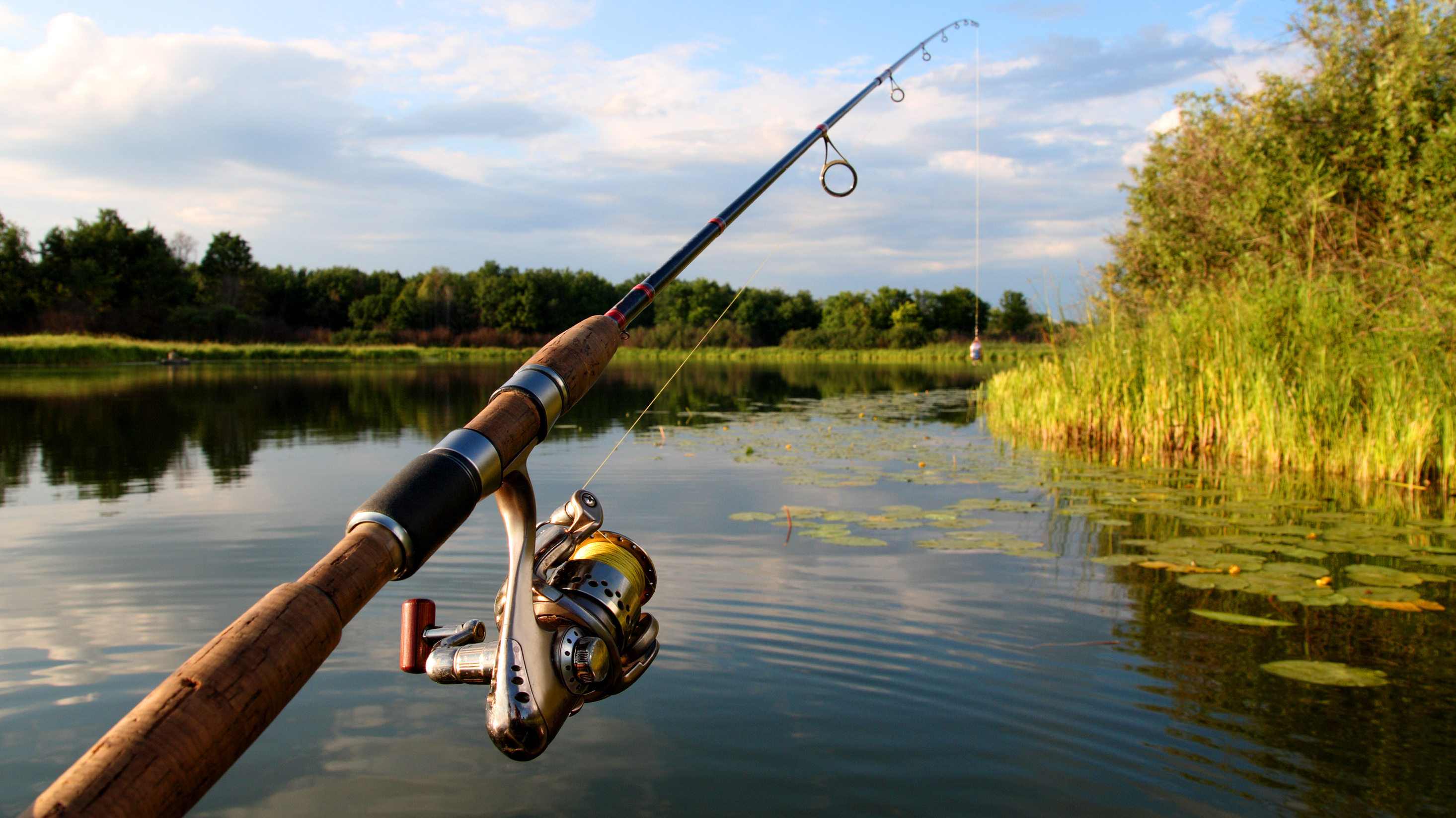 Fishing Line And Tow Trucks