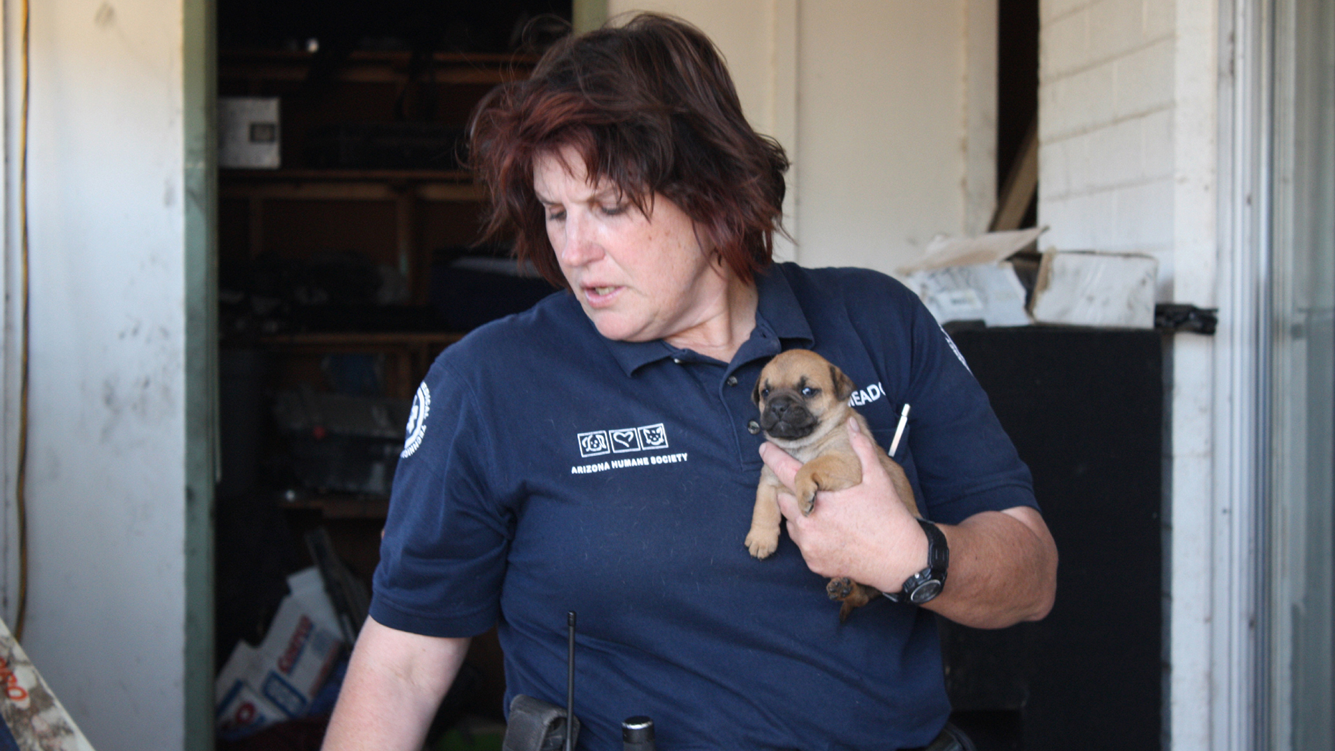 A Tale Of Three Tails