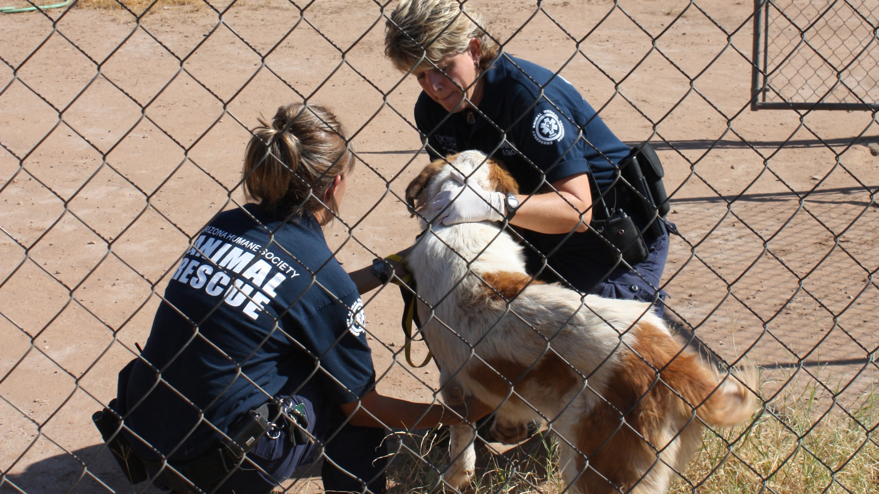 A Voice for the Victim