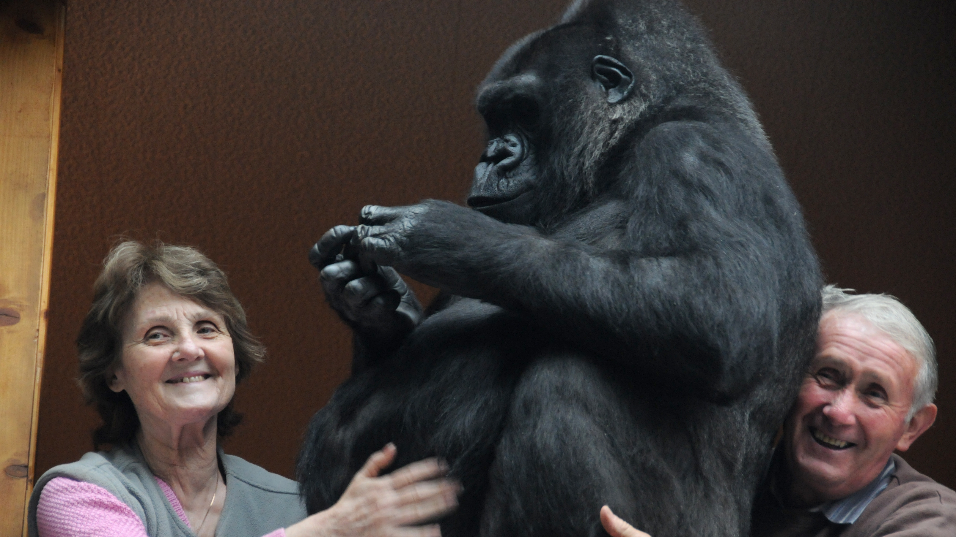 Mr. Lizardlover & Ratty Relatives