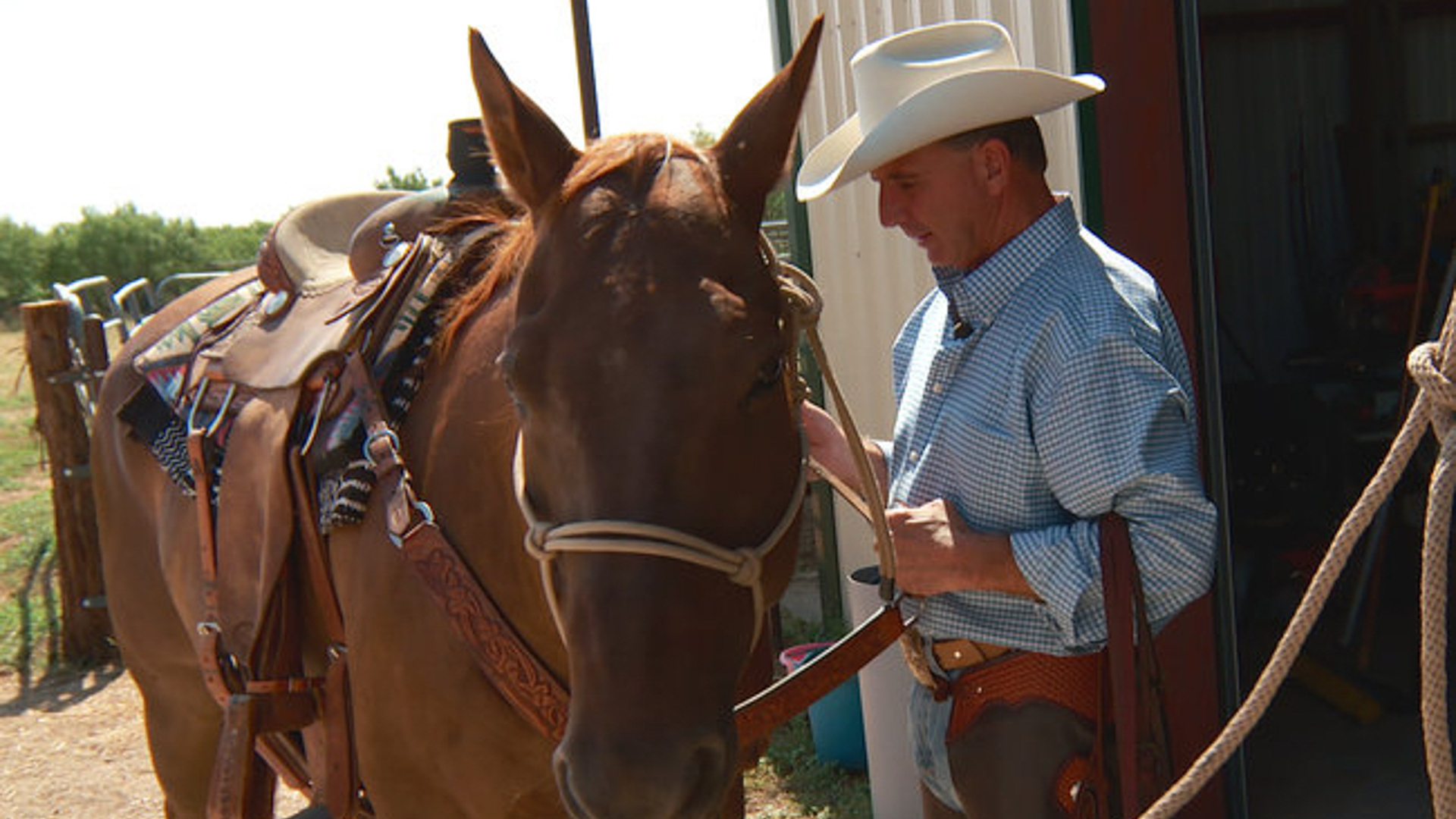 Lone Star Law